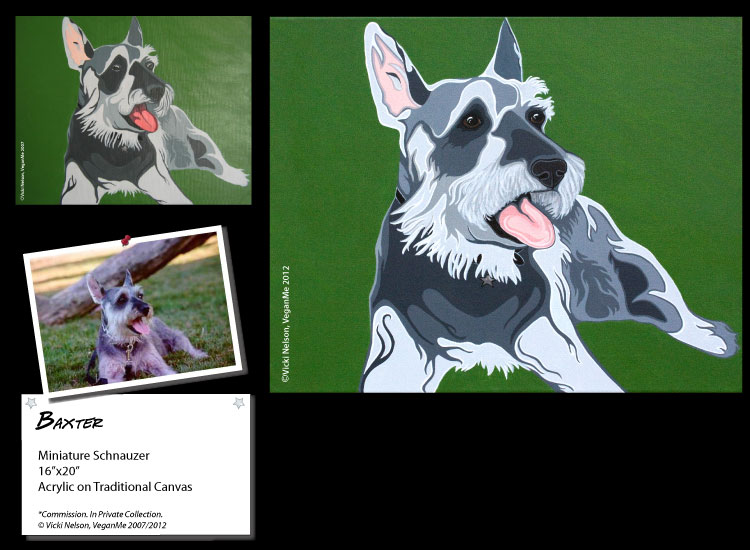 Baxter the Miniature Schnauzer dog portrait