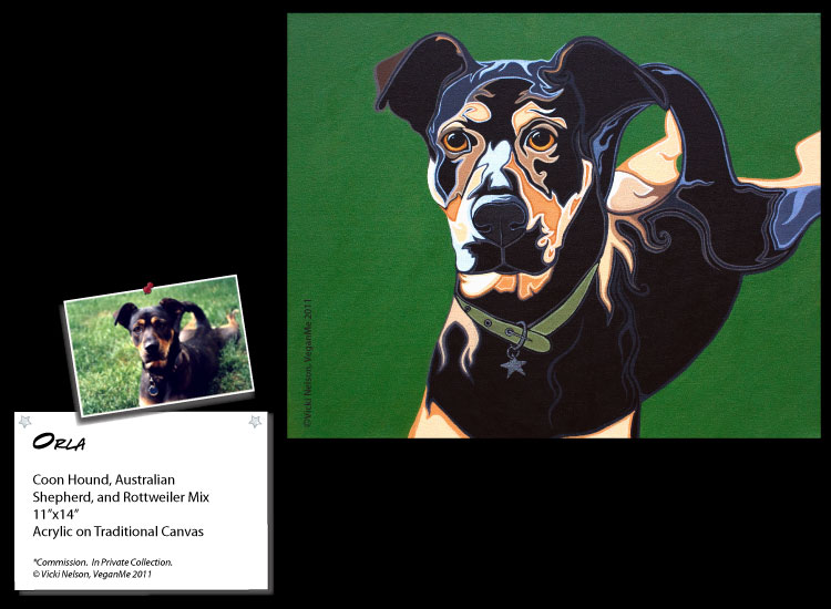 Orla the Coon Hound, Australian Shepherd, and Rottweiler Mix Dog Portrait
