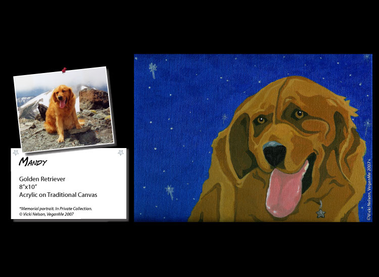 Mandy the Golden Retriever dog portrait