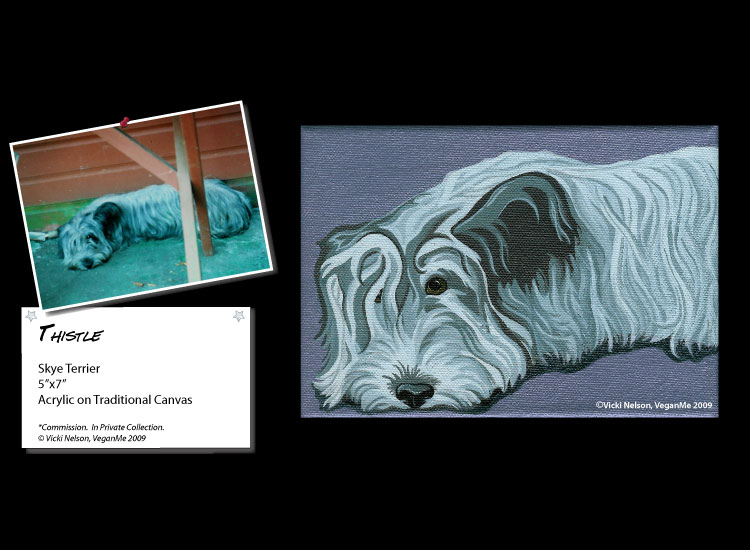 Thistle the Skye Terrier dog portrait