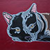 Cuba the black cat kitty portrait