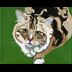 Looshus the Tabby Kitty Portrait