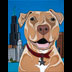 Betsy the Pit Bull with Chicago Skyline dog portrait