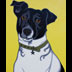 Biscotti the Terrier Dog Portrait