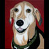 Deuce the Great Dane - Beagle mix dog portrait