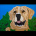 Duggie the Mastiff dog portrait