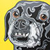 Filipe Enrique Super Starro dog portrait