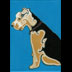 Kimmy the Airedale Terrier Portrait