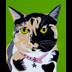 Kubba the Calico cat portrait