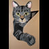 Miette the Tabby Kitten Portrait