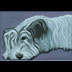 Thistle the Sky Terrier Portrait